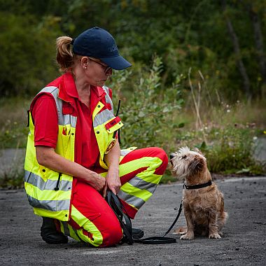 Hund Egidio wartet freudig auf die kommende Suche egidio wartet