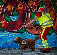 Warten auf den Einsatz