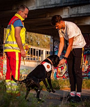 Flame liebt Suchen in Trümmern