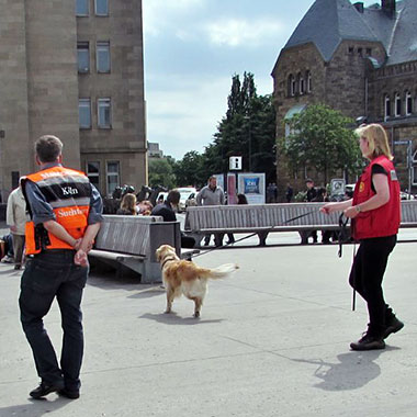 Milo und ich bei einem übungstrail am Aachener Hauptbahnhof übung am Aachener Hauptbahnhof